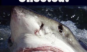 New Novel from Local Author